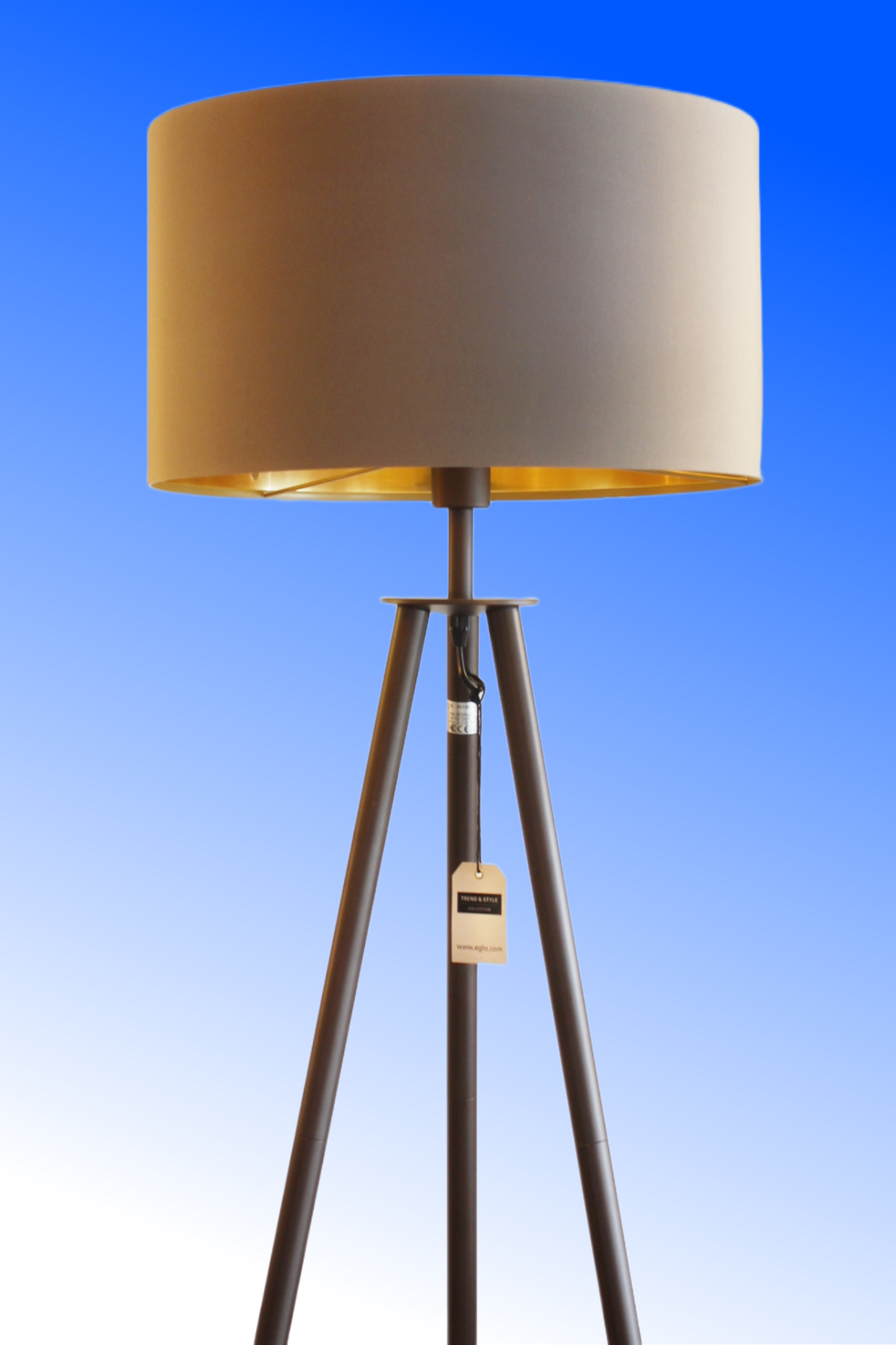 EG/49148 | EGLO BIDFORD FLOOR LAMP