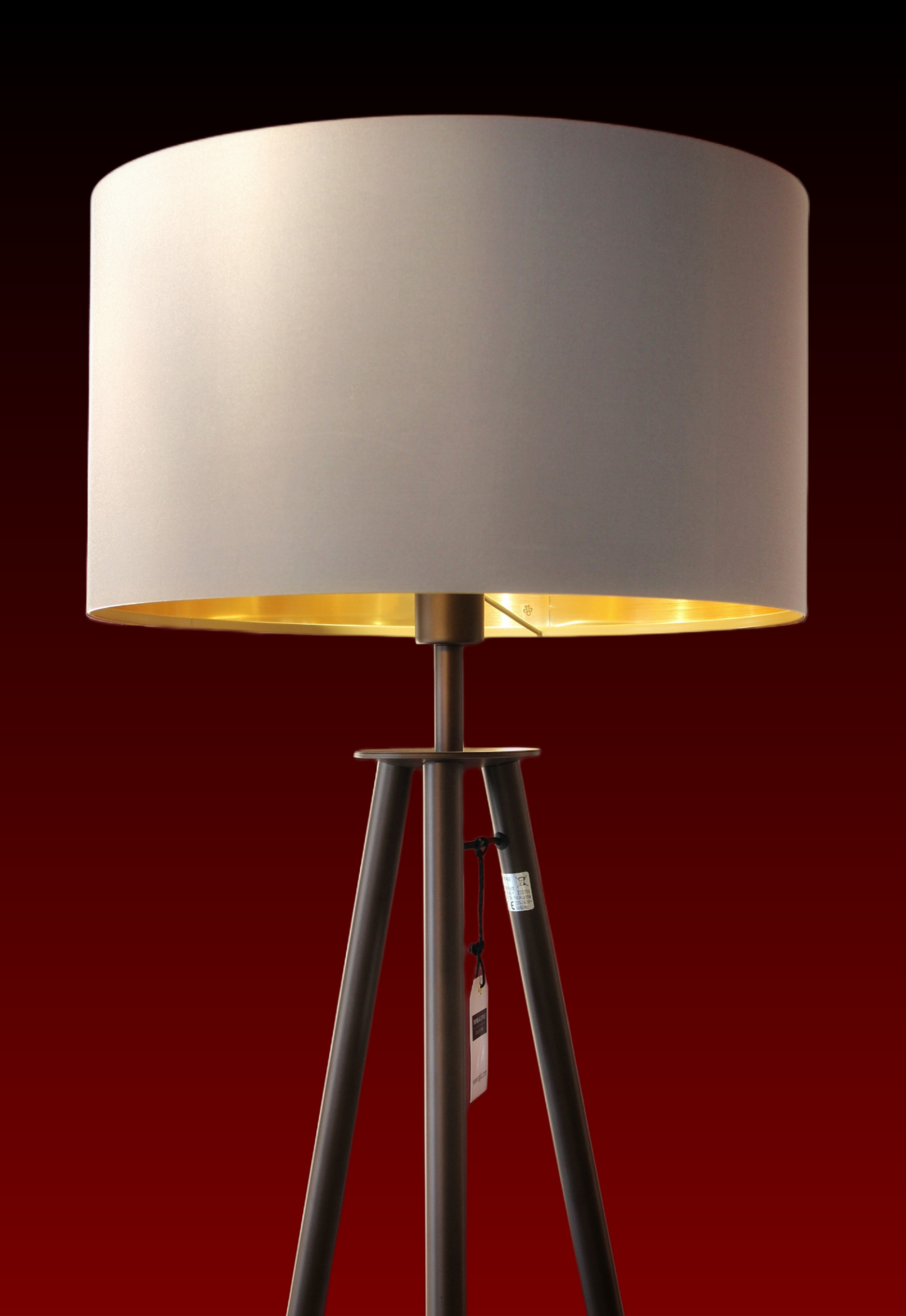 EG/49148 | EGLO BIDFORD FLOOR LAMP